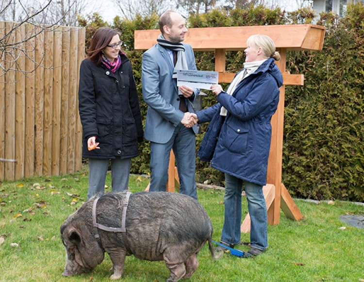 500 Euro für den Gnadenhof: Minischwein Kiki holte Spendenscheck  von EVENTUS